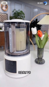 BLAUPUNKT Smart Cooking Blender Soy Milk Maker Multifunction Wall Breaker