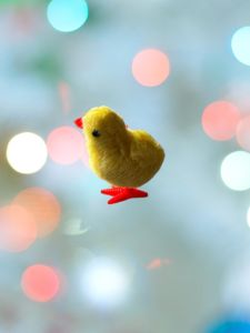 Mainan Anak Ayam Berjalan ukuran besar