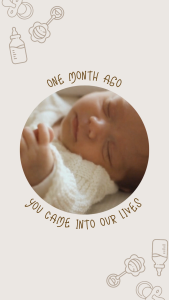 Set Tilam Baby Sleeping Set (Mosquito Net + Mattress + Pillows)