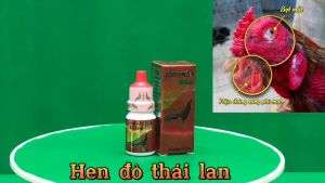 KHÒ HEN MÃN TÍNH Hen Đỏ Thái Lan.Khò Chảy Mắt Nước MũiKhó Thở .Viêm Phổi Đường Hô Hấp Gà Đá