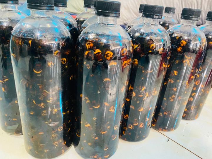 Ong đất (ong bắp cày ngâm ruou) chai 1Lit - Lazada | Lazada.vn