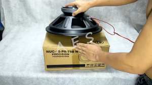 NUC-15-PA-750 W Atomic Nuclear Instrumental Speaker