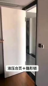 Automatic Quiet Close Invisible Wood Door Hinges