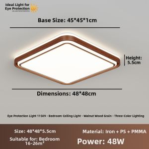 DGY | Vintage & Simplistic Living Room Ceiling Light