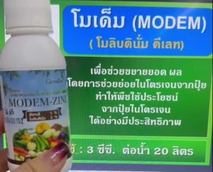 ปุ๋ยน้ำกิฟฟารีน ฮอร์โมนพืช ปุ๋ยน้ำ ปุ๋ยถั่ว ปุ๋ยไม้เลื้อย ปุ๋ยโมเด็ม โมลิบดินัม คีเลท เพื่อขยายยอด ผล ช่วยย่อยไนโตรเจน 100 cc