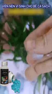 [Thế hệ mới] Vi sinh Aquarista của Nhật lọ 100 viên ( vi sinh bể cá làm trong nước giảm độc tố cân bằng PH)