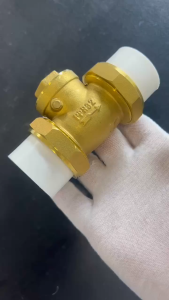 PPR Brass Fittings Double Union Swing Check Valve Water pipe hot melt SIZE(1/2",3/4",1")