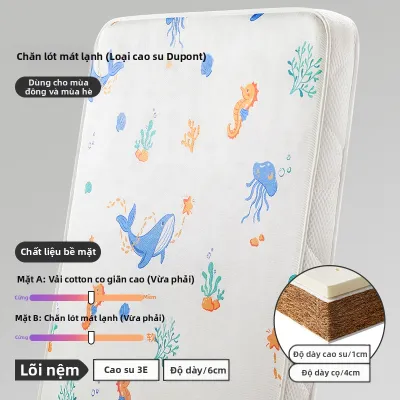 Shiada | Đệm Em Bé Từ Sợi Dừa & Cao Su