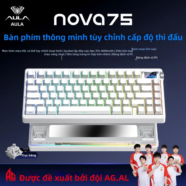 AULA | Bàn phím cơ không dây ba chế độ Tarantula nova75MAS với kết nối Bluetooth và có dây - Thiết bị ngoại vi máy tính có thể tùy chỉnh | BigBuy360 - bigbuy360.vn AULA | Bàn phím cơ không dây ba chế độ Tarantula nova75MAS với kết nối Bluetooth và có dây - Thiết bị ngoại vi máy tính có thể tùy chỉnh | BigBuy360 - bigbuy360.vn