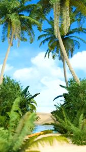 Dr Soap Nourishing Shower Gel 350ml / Naked Affairs / Gel Obsessions / Sabun Mandi Untuk Jerawat PUNGGUNG / DR SOAP BANDUNG