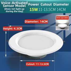 FANYAO | Smart Voice Control & Motion Sensor Ceiling Light