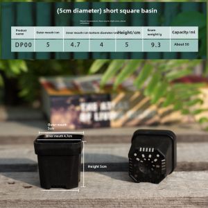 5 Caliber Extra Thick Mini Succulent Plastic Square Basin Seedling Planting Balcony Party Fine Control Meat Flower Pot Breathable and Beautiful