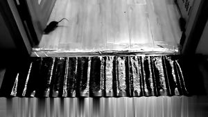 AI-C1103 Jebakan Tikus Sticky Rat Blanket Pembasmi Tikus Lem Hama / Lem Perangkap Tikus 0.6/1.2M