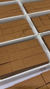 นามะช็อกโกแลตนมสด Fresh Milk Nama Chocolate ช็อกโกแลต นามะ