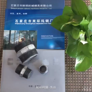 High-Quality Galvanized Steel Pipe Nipples 1/4"/1/2"/3/4" - Durable Plumbing Fittings for Pipes & Hoses