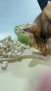 Freeze Dried Chicken Cube Cat Treat