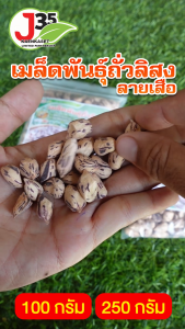 เมล็ดพันธุ์ ถั่วลิสงลายเสือ ถั่วลิสง เต็มเม็ดเต็มฝัก ถั่วจัมโบ้ ถั่ว พันธุ์ถั่วเสือ