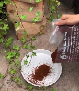 Mụn Dừa Tơi Đã Xử Lý Sfarm 5dm3 - Giá Thể - Xơ Dừa Mụn Dừa