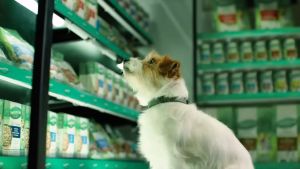 Natures Gift อาหารสุนัข Kangaroo Fillet (เนื้อจิงโจ้)100 g. 36 ถาด