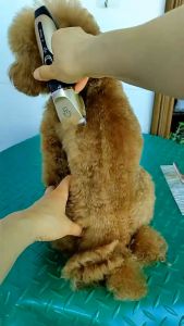 Professional Razor for Dog Electric Pet Shaver Dog Razor Grooming Mute Grooming Kit for Pet