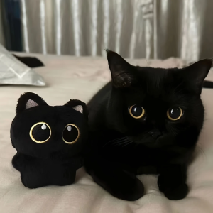 1/2 Pcs Cute Plush Little Black Cat Pendant Versatile Hanging Decoration Cat shaped Pet Plush Backpack Keychain