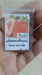 100 เมล็ด สตรอเบอร์รี่ไจแอนท์ Giant Strawberry สตรอเบอร์รี่ยักษ์ ไจแอนท์สตรอเบอรี่ สตรอเบอรี่ เมล็ดสตรอเบอรี่ สตอเบอรี่ สตรอเบอรี่ยักษ์