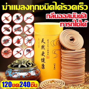 ได้กลิ่นแล้วตาย ธูปกันยุง 120 วง ธูปฆ่ายุงตาย10000ยากันยุงแบบขดมีอย ส่วนผสมจากพืชธรรมชาติ ยากันยุงสมุนไพรแบบขด ยาจุดกันยุงขด ยาจุดกันยุง ยาจุดกันยุงจีน ยากันยุงแบบธูป ยากันยุงสมุนไพร