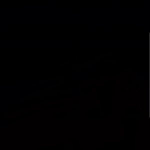 Intel RealSense LiDAR Camera L515 30 fps 1920x1080(1Years Warranty )