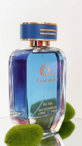 Nước hoa nam COOL WATER 100ML trẻ trung nam tính