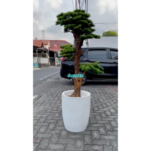 Pohon Artificial Tanaman Hias Bonsai Lohansung Jumbo Pot Terracota Model Teraso Dekorasi Cafe Pajangan Ruangan Aesthetic