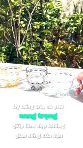 Hộp 3 Ly Trà Lùn Hoạ Tiết Kim Cương Thủy Tinh Cao Cấp 185ML Deli ZB45A