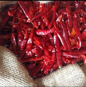 PROMO 1 KG PACKING CABE TEJA RAWIT KWALITAS SUPER PEDAS TANPA TANGKAI