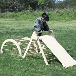 3-in-1 Climbing Frame Combination Children Outdoor and Indoor Sports Toys Wooden Frame Playgym Climbing and Slide for Kids