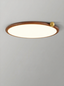 FANZHEN | Modern Simple Thin Walnut Color LED Eye-protective Ceiling Light