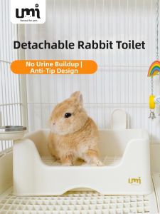 Alex Animal Farms | Small Pet Triangle or Square Toilet