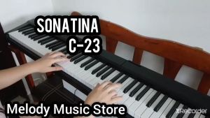 88 Keys Portable Travel Digital Piano Keyboard Electronic Piano Keyboard Bluetooth Piano APP Multifunction Battery Operated Slim Piano Standard Full Size Key Width 2.2cm Touch Sensitive Piano Portable Keyboard Piano 88 Keys Piano Good Sound Sonatina C-23