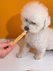 Bánh thưởng cho Chó thịt gà bọc canxi sữa bánh thưởng huấn luyện thú cưng (mẫu mới) - Love Pets Shop
