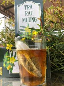 Trà Rau Mương Túi Lọc 30 gói - HP - Dạ Dày - Trào Ngược