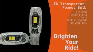 CPA (11589) 2PCS PEANUT BULB TRANSPARENT 5 LED FLASHING WHITE