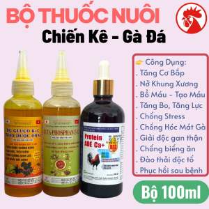 Combo 3 chai 100ml Thuốc nuôi gà đá chế độ giải độc gan sung hừng gà tăng nước máu cho gà chế độ Protein ADE b12 Ca Buta Phosphan Gluco kc