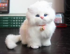 Cute Cat Doll Plush Toy Realistic Kittens Cushion Children Girls Soothing Gift Static Animal Model Toy for Ages 18 Months And up