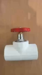 (Need Fusion Machine)PPR White/PE Black Gate Valve (1/2 3/41inch) Water Pipe Fittings