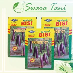 Benih Terong NEW PRINCE: Cara Menggunakan & Membudidayakan