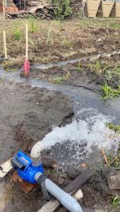 [BISA COD] Pompa air modifikasi type jet 250 pipa in/out 2 dim semburan air besar cocok untuk irigasi perkebunan gratis packing kayu