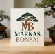 Markas_bonsai
