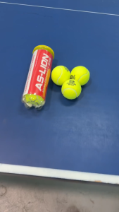 [AS-Lion] Tennis Balls (SG Seller)