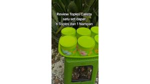 TONAM / TOPLES NAMPAN CALISTA ISI 6 + NAMPAN (SET 7)