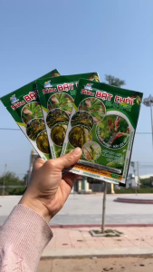 Phân Bón Lá Siêu Bật Chồi 33-11-11+TE Phát đọt cực mạnh đâm chồi Mập đọt lá xanh mướt bóng mỡ lá