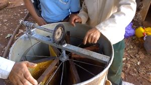 Mật ong hoa cà phê Đăk Lăk chai 300ml