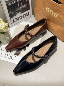 French Pointed Toe Low Heel Retro Design Womens Fashion New Soft Leather One-Strap Mary Jane Shoes Korean Style Slip-On Flats